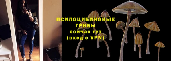 mdpv Красноперекопск
