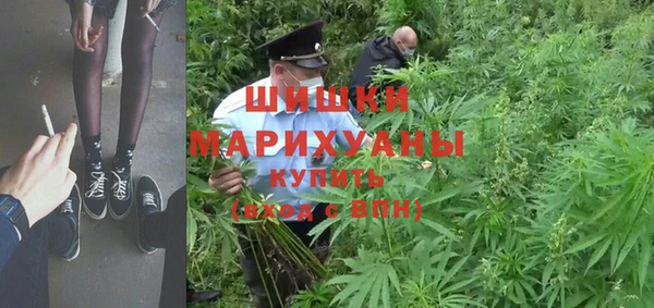 дмт Корсаков