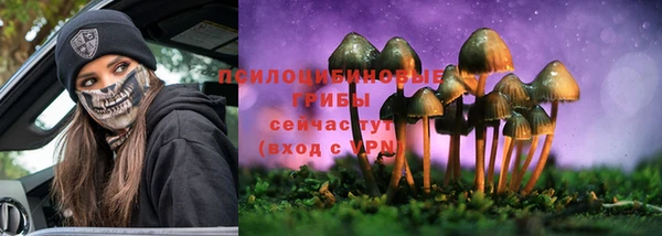 спайс Краснослободск